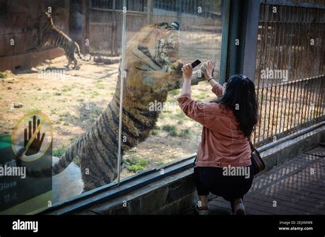 圓通山動物園之行：探索路徑與趣味體驗